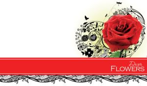 A red rose on a black floral stencil design and a red stripe on a white backdrop