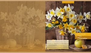 Still life oil painting white daffodils in a wicker basket and fruits on a plate