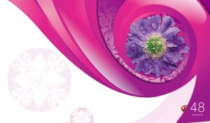 Digital art displays a scabiosa flower on fuchsia spiral on a white backdrop