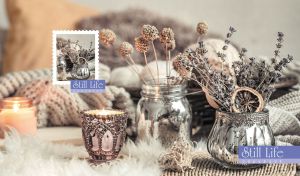 Still Life | Ethereal Elegance in Subdued Hues