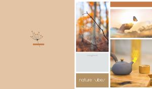 Nature Vibes | Three-Block Collage with Pastel Side Background | Part 1