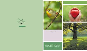 Three-block collage of Nature Vibes with a pastel green side panel backdrop