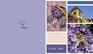 Nature Vibes | Three-Block Collage with Pastel Side Background | Part 2
