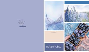 Three-block collage of Nature Vibes with a pastel navy side panel backdrop