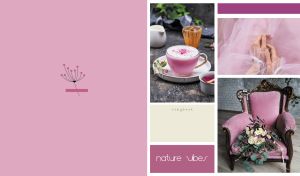 Three-block collage of Nature Vibes with a pastel taffy pink side panel backdrop