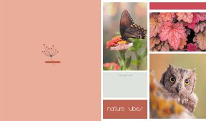 Three-block collage of Nature Vibes with a pastel peach side panel backdrop
