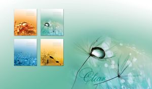 A close-up of dew drops on a dandelion on a pastel green gradient backdrop