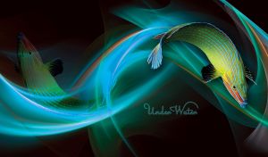 Under Water | Magical Fish in Mysterious Black Waters