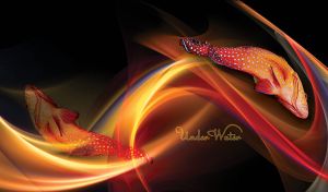 Orange Coral grouper fish swims in yellow-red magical waves in black water