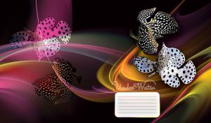 Black and white Marine Betta and a Panther grouper fish swims in abstract waves