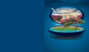 Magic Box Miniatures | Nature's Dreamscapes on Colorful Backdrops