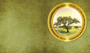 A picture of a green tree in the summer on the pastel green wall