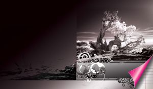 Lone dried tree on the edge of a hill flourishes in the sun in black-and-white