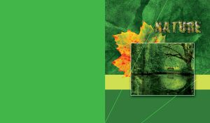 NATURE | Framed Scenery Miniatures on Velvet with Autumn Leaf | Against monochrome