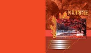 Picture of red trees and leaf litter in a snowy alley on a winter day on velvet