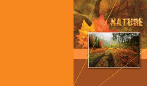 Picture of a footpath through the valley to a colorful autumn forest on velvet