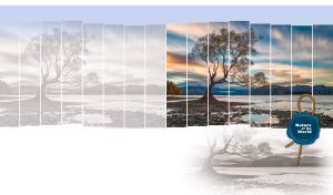 Panorama of a lone tree under the polar sky on pastel blue and white backdrop