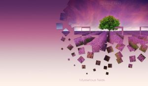 Mysterious Fields | Nature’s Enigma at Dawn