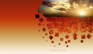 Mysterious scene with a field of orange rye in the lights of sunset