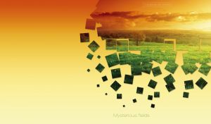 Mysterious scene with a green field and a forest in a golden sunset