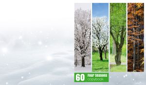 Four Seasons | Nature's Beauty Captured in Elegant Vertical Collages