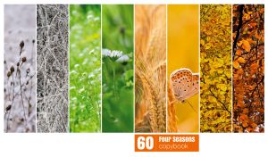 Eight-panel collage on a white backdrop captures the beauty of the seasons