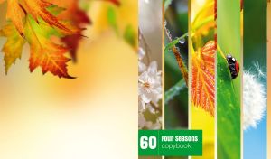 Five-panel collage captures flowers, ladybug, leaves and dew on yellow background