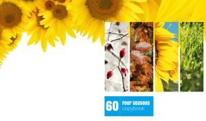 Four-panel collage on white captures the beauty of seasons on white background