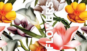 Digital floral illustration of large yellow daffodils and white calla lilies