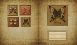 Butterfly with maroon, brown and green wings in a frame on a burlap texture