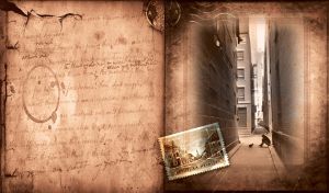 Vintage photo of a man and a cat in New York in a brown sepia old photo album