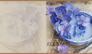 Violet hydrangea flowers in an elegant blue porcelain bowl on a vintage menu