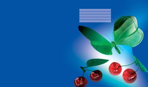 A green butterfly with couple of cherries at bottom on a bright blue background