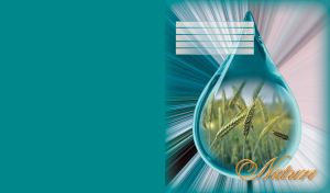 Water drop shaped miniature of wheat ears closeup on a teal background