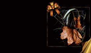 Spikelets and the dry leaves naturmort in dramatic lighting on black