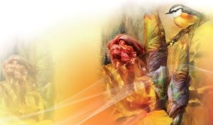 Flower Arts in Watercolors | Harmonious Hues Blooming on Gradient Canvases