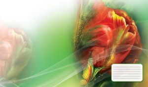 Watercolor drawing of butterfly flying by a red tulip on a green gradient