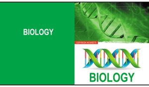 3D DNA strand on a white and green backdrop of a Biology notebook