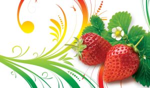 Fruitful Swirls | Ripe Fruits & Colorful Patterns on White