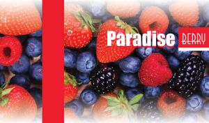 Paradise Berry | Vibrant Fruit Close-ups with Soft Faded Edges