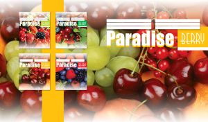 Currants, grapes and cherries closeup with faded edges