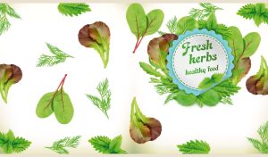 Fresh herbs sticker on a white wrapping paper with seamless patten