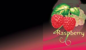 Couple of red raspberries with green leaves, isolated on a black crimson gradient