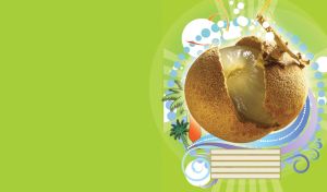 Longan fruit with open crust and juicy flesh with summer theme behind on lime