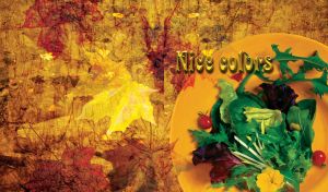 Mix of salad in a yellow plate on Autumn orange background