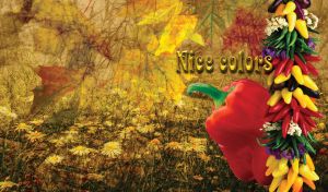 Mix of colored peppers hanging with flowers on Autumn dark yellow background