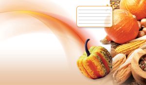 Pumpkins and corn next to spices on a pastel tan gradient