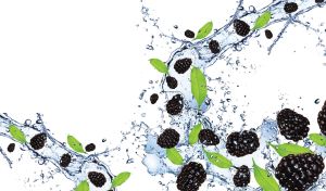 Delicious mulberries fell in the fresh clean water
