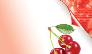 Fresh red cherries on a blank page turning to a red page