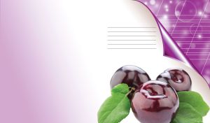 Ripe dark cherries on a blank page turning to a purple page